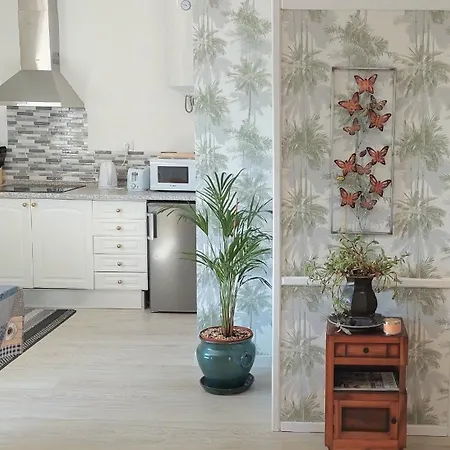 Quinta De Oliveiras Appartement *