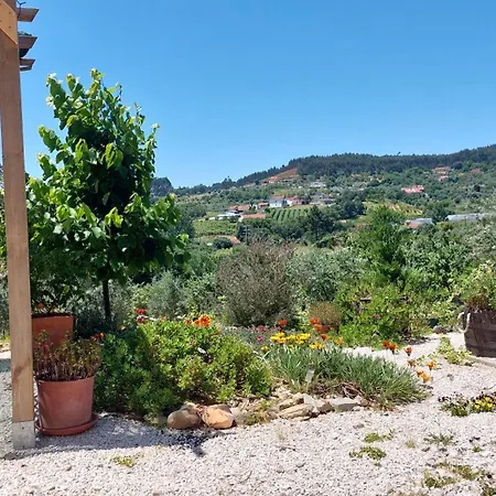 Quinta De Oliveiras شقة