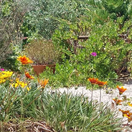 Quinta De Oliveiras *