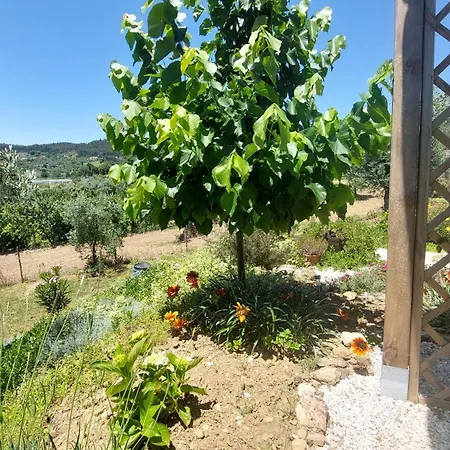 Quinta De Oliveiras شقة