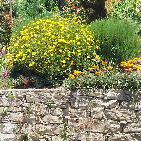 アパート Quinta De Oliveiras Beco