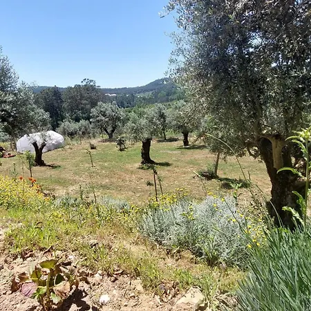 Appartement Quinta De Oliveiras