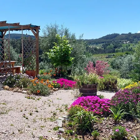 Quinta De Oliveiras Appartement *