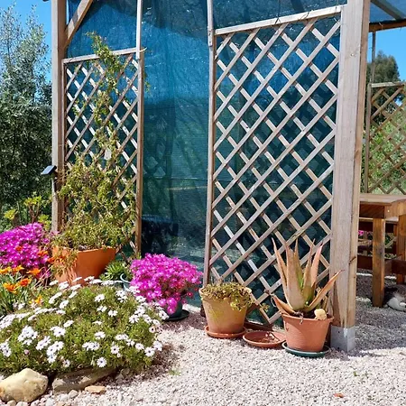 Quinta De Oliveiras アパート Beco