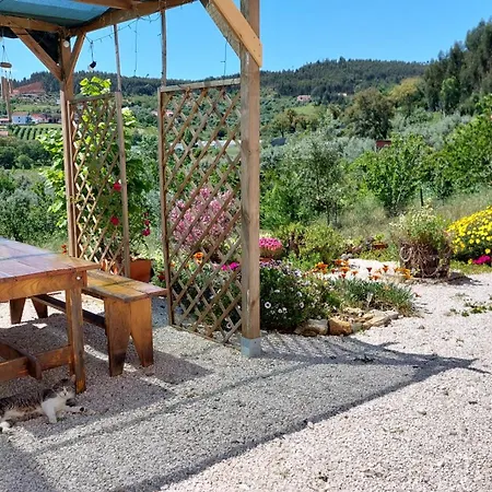 Quinta De Oliveiras Appartement