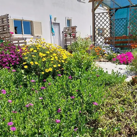 Appartement Quinta De Oliveiras Beco