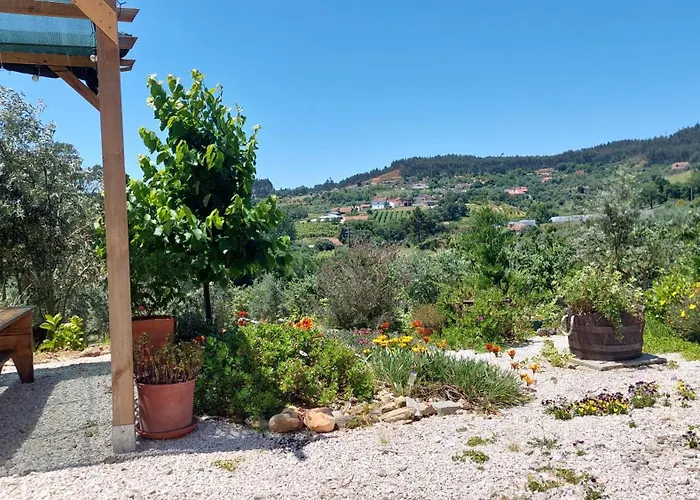 Quinta De Oliveiras Апартаменты