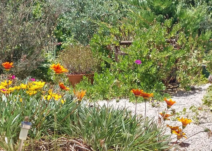 Quinta De Oliveiras *