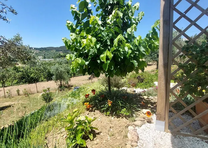 Quinta De Oliveiras Апартаменты