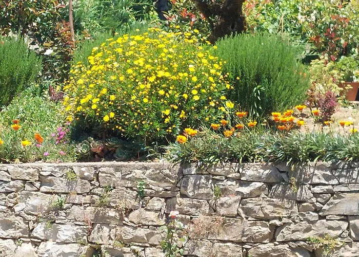 Апартаменты Quinta De Oliveiras Beco