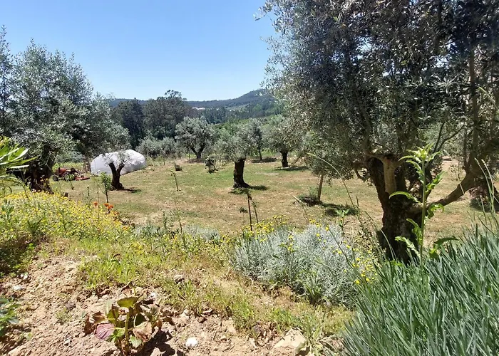 Апартаменты Quinta De Oliveiras