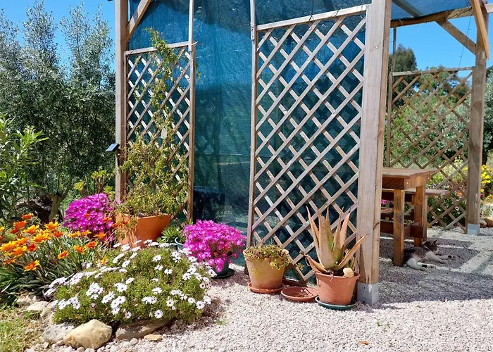 Quinta De Oliveiras Апартаменты Beco